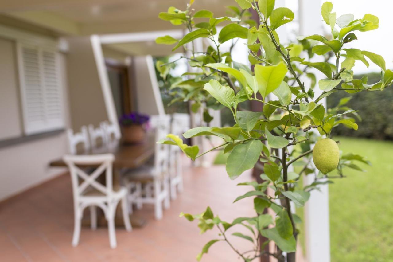 B&B Cava Rossa Monsummano Terme Exterior foto